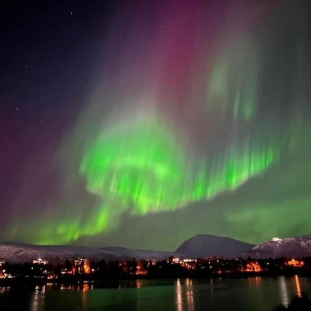 Apartament Polar Arctic View - Free Parking! Tromsø Zewnętrze zdjęcie